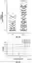 Fig. 15 - Cellular analysis