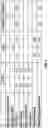 Fig. 26 - Cellular analysis