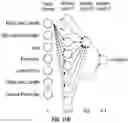 Fig. 29 - Cellular analysis