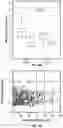 Fig. 37 - Cellular analysis
