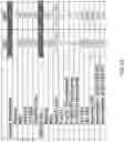 Fig. 42 - Cellular analysis