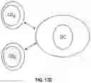 Fig. 45 - Cellular analysis
