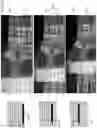 Fig. 64 - Self-cleaning autonomous store