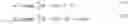 Fig. 05 - Robust image registration for multiple rigid transformed images