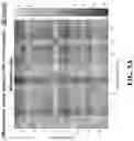 Fig. 13 - Robust image registration for multiple rigid transformed images