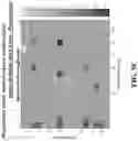 Fig. 15 - Robust image registration for multiple rigid transformed images