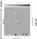 Fig. 16 - Robust image registration for multiple rigid transformed images