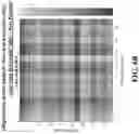 Fig. 17 - Robust image registration for multiple rigid transformed images