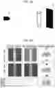 Fig. 10 - Distance image generation device which corrects distance measurement abnormalities