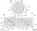 Fig. 08 - Imaging system and observation method