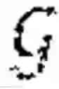 Fig. 09 - Pose synthesis