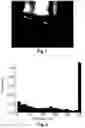 Fig. 05 - Method of displaying an image on a see-through display