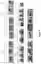 Fig. 07 - System and method for reducing similar photos for display and product design
