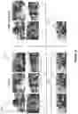 Fig. 08 - System and method for reducing similar photos for display and product design