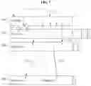 Fig. 07 - Modeling method and apparatus and apparatus using fluid animation graph