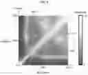 Fig. 08 - Modeling method and apparatus and apparatus using fluid animation graph