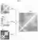 Fig. 09 - Modeling method and apparatus and apparatus using fluid animation graph