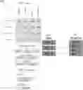 Fig. 01 - WAGERING PLATFORM
