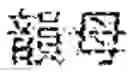 Fig. 07 - Color Intonation Display System and Method Thereof