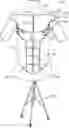 Fig. 01 - Breast and abdominal augmentation and reconstruction teaching model