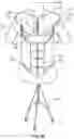 Fig. 04 - Breast and abdominal augmentation and reconstruction teaching model