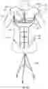 Fig. 05 - Breast and abdominal augmentation and reconstruction teaching model