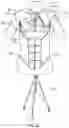 Fig. 06 - Breast and abdominal augmentation and reconstruction teaching model