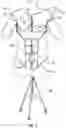 Fig. 13 - Breast and abdominal augmentation and reconstruction teaching model