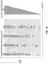 Fig. 09 - Display backlighting systems and methods for adaptive pulse width modulation and modulo pulse width modulation
