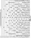 Fig. 16 - Display backlighting systems and methods for adaptive pulse width modulation and modulo pulse width modulation