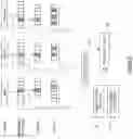 Fig. 09 - Automated midi music composition server