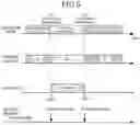 Fig. 05 - Sound control device, wearable sound device and control method