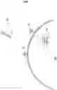 Fig. 02 - ANTENNA APPARATUS HAVING CHASSIS PORTION
