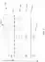 Fig. 07 - Video encoding using starve mode