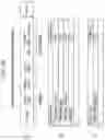 Fig. 26 - Transmission apparatus, method of transmitting image data in high dynamic range, reception apparatus, method of receiving image data in high dynamic range, and program