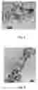 Fig. 05 - Method for the synthesis of a zero-valent metal micro- and nanoparticles in the presence of a noble metal