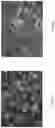 Fig. 09 - COMPOSITE CLADDINGS AND APPLICATIONS THEREOF
