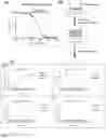 Fig. 03 - Cathepsin inhibitors