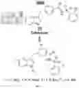 Fig. 02 - Antimicrobial compounds, compositions, and method