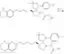 Fig. 331 - Inhibiting (α-V)(β-6) integrin