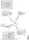 Fig. 02 - ANCILLARY CHANNEL COMMUNICATIONS SERVICE