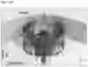 Fig. 16 - Photoelectric smoke detector having double-bulkhead darkroom structure