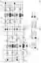 Fig. 06 - Half density ferroelectric memory and operation