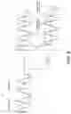 Fig. 06 - Phase adjusting circuit and phase adjusting method