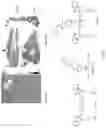 Fig. 02 - DRUG FRAGMENT IMAGING AGENT CONJUGATES