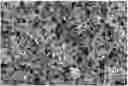 Fig. 01 - HYDROXYAPATITE BASED COMPOSITION AND FILM THEREOF COMPRISING INORGANIC FULLERENE-LIKE NANOPARTICLES OR INORGANIC NANOTUBES