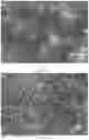 Fig. 04 - HYDROXYAPATITE BASED COMPOSITION AND FILM THEREOF COMPRISING INORGANIC FULLERENE-LIKE NANOPARTICLES OR INORGANIC NANOTUBES