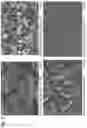 Fig. 07 - PARTICULATE MATERIAL PRODUCTION PROCESS