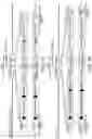 Fig. 02 - Methods and compositions for rapid generation of single and multiplexed reporters in cells