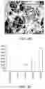 Fig. 09 - Methods and compositions for rapid generation of single and multiplexed reporters in cells